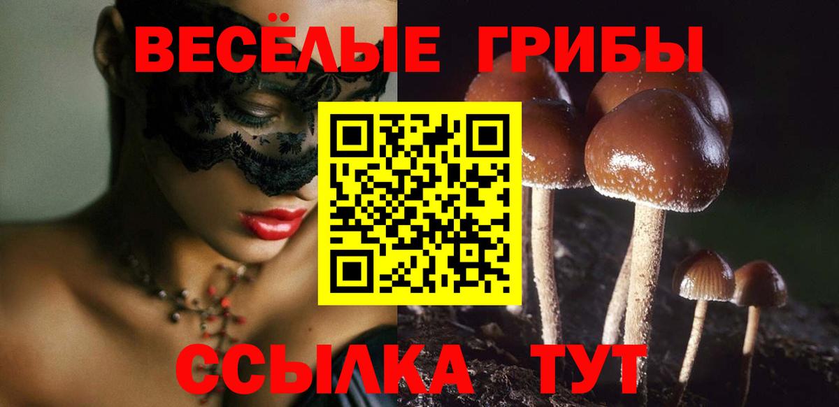 Псилоцибиновые грибы прущие грибы Миасс